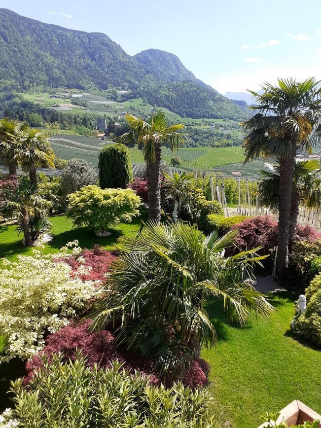 Pension zum Burggräfler Schenna Exterior foto